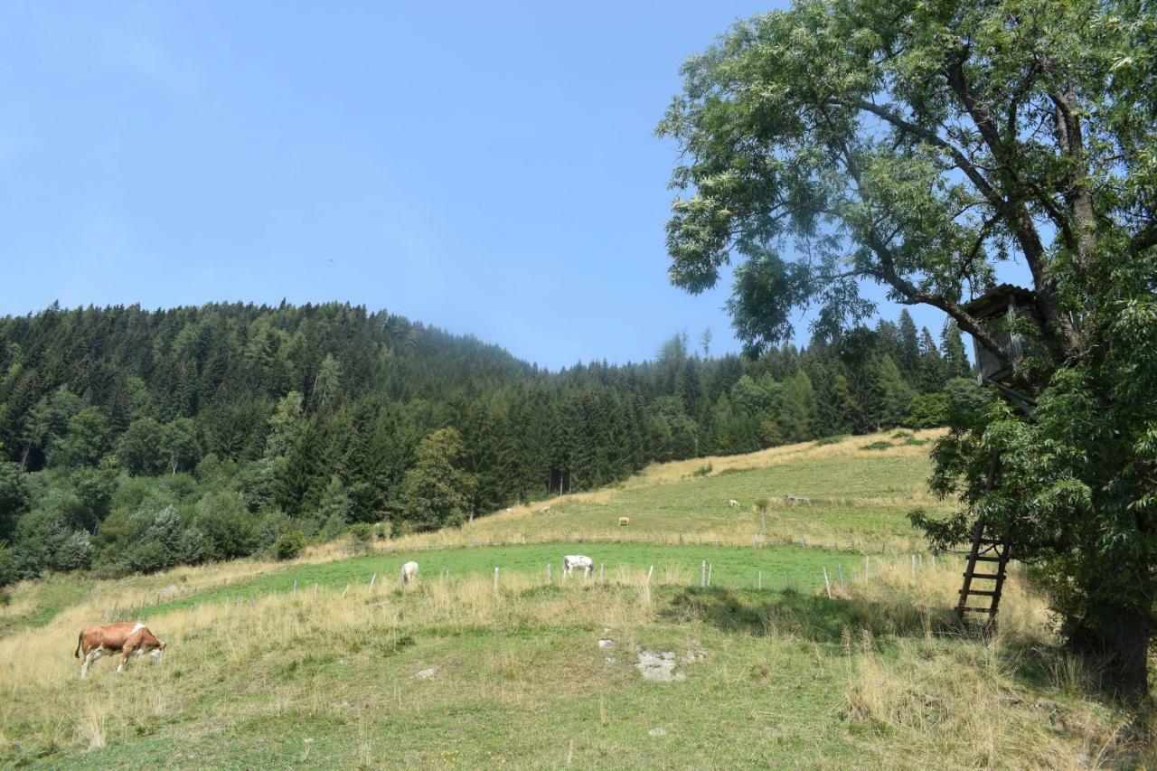 Ferienhaus Schleinzer Prebl Zewnętrze zdjęcie
